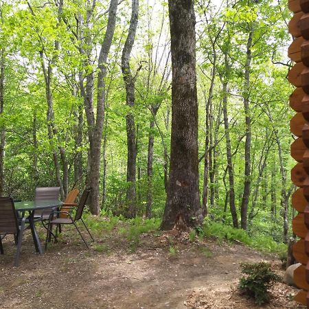 Two Rivers Cabins - The Mountaintop Brevard Bagian luar foto