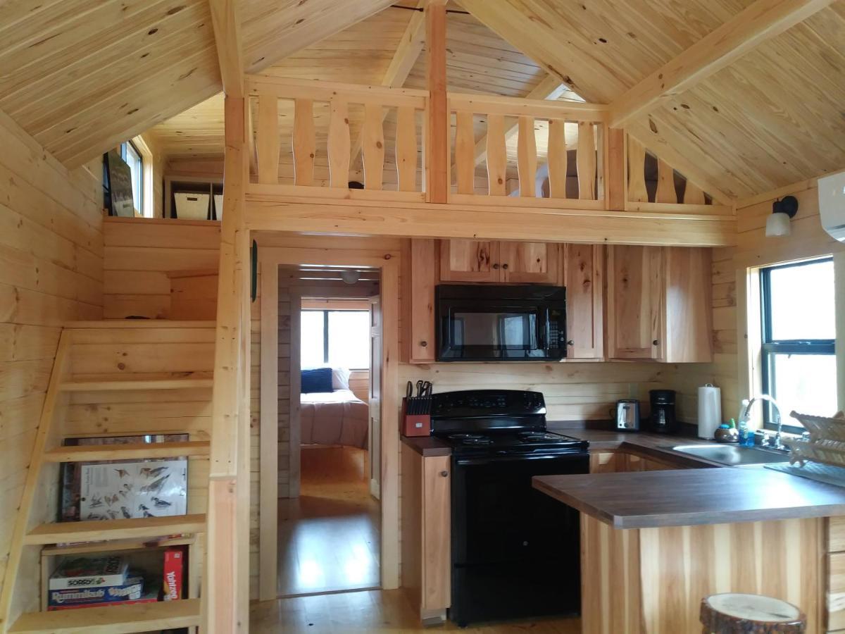Two Rivers Cabins - The Mountaintop Brevard Bagian luar foto