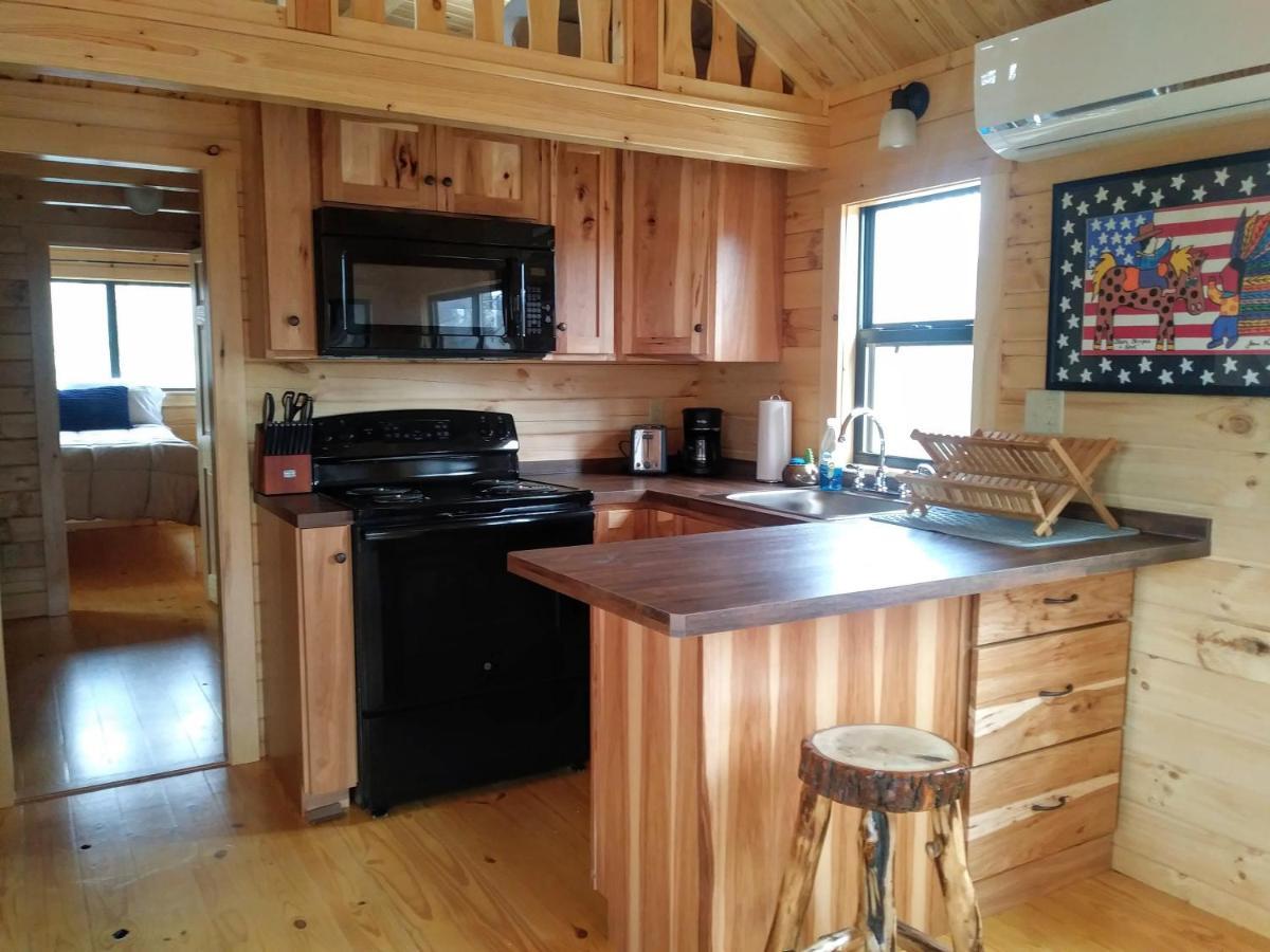 Two Rivers Cabins - The Mountaintop Brevard Bagian luar foto