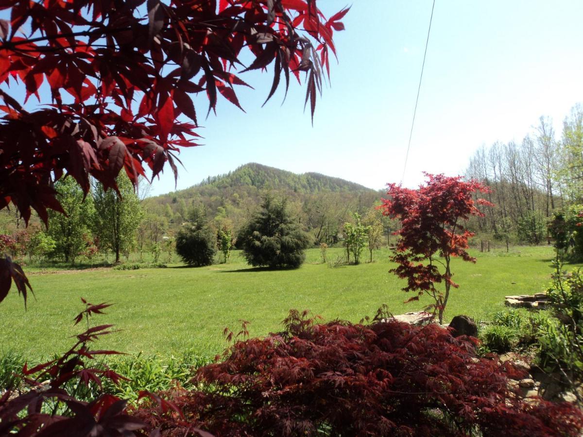 Two Rivers Cabins - The Mountaintop Brevard Bagian luar foto