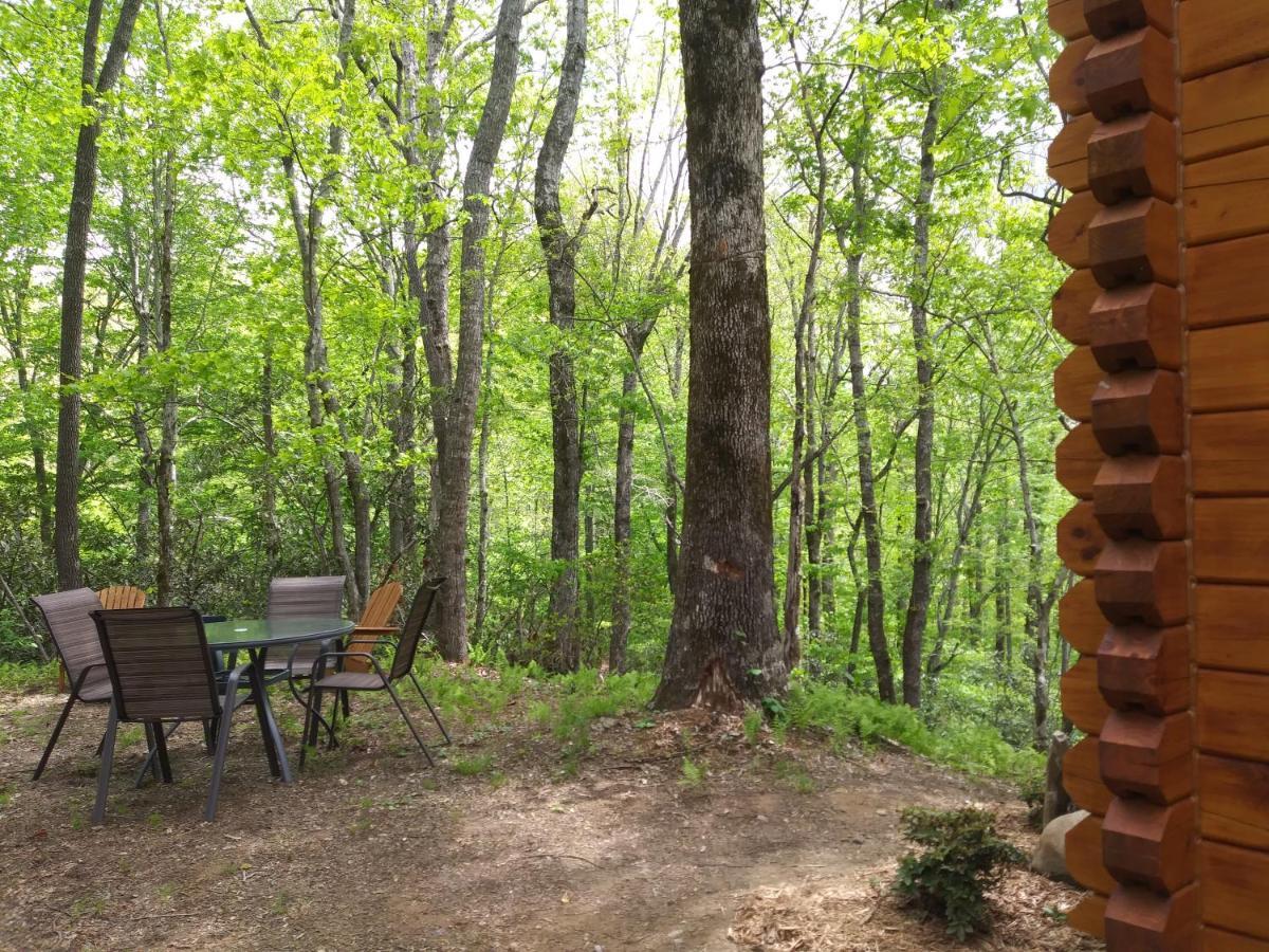 Two Rivers Cabins - The Mountaintop Brevard Bagian luar foto